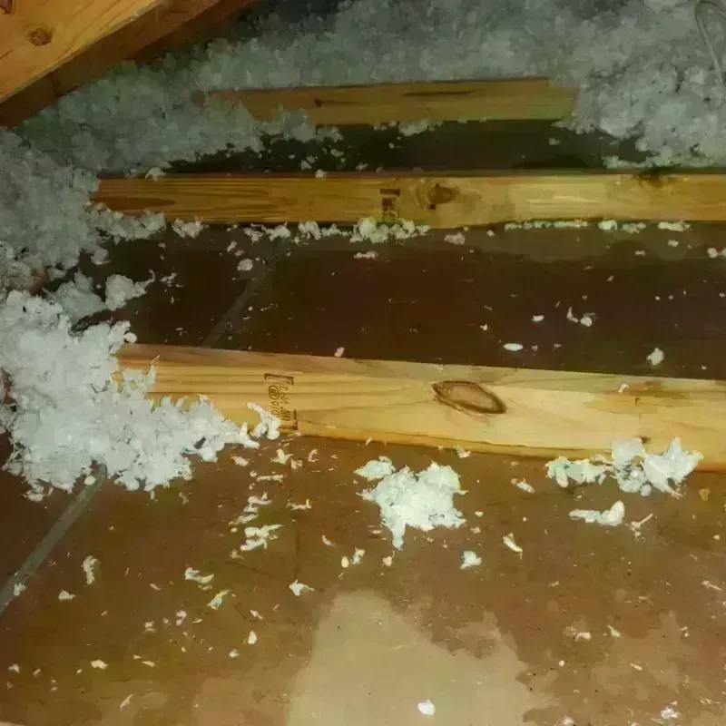 Attic Water Damage in Canisteo, NY